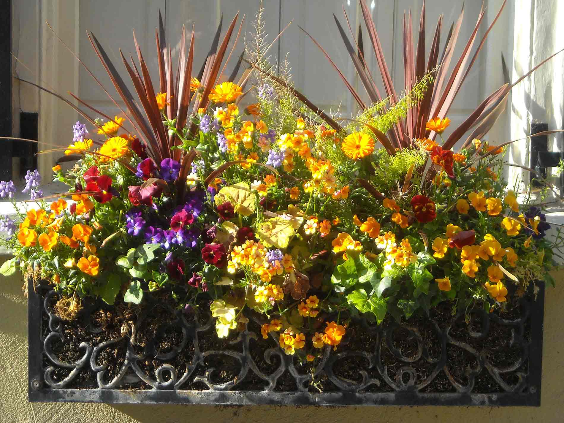 window box with grasses in back and flowers up front