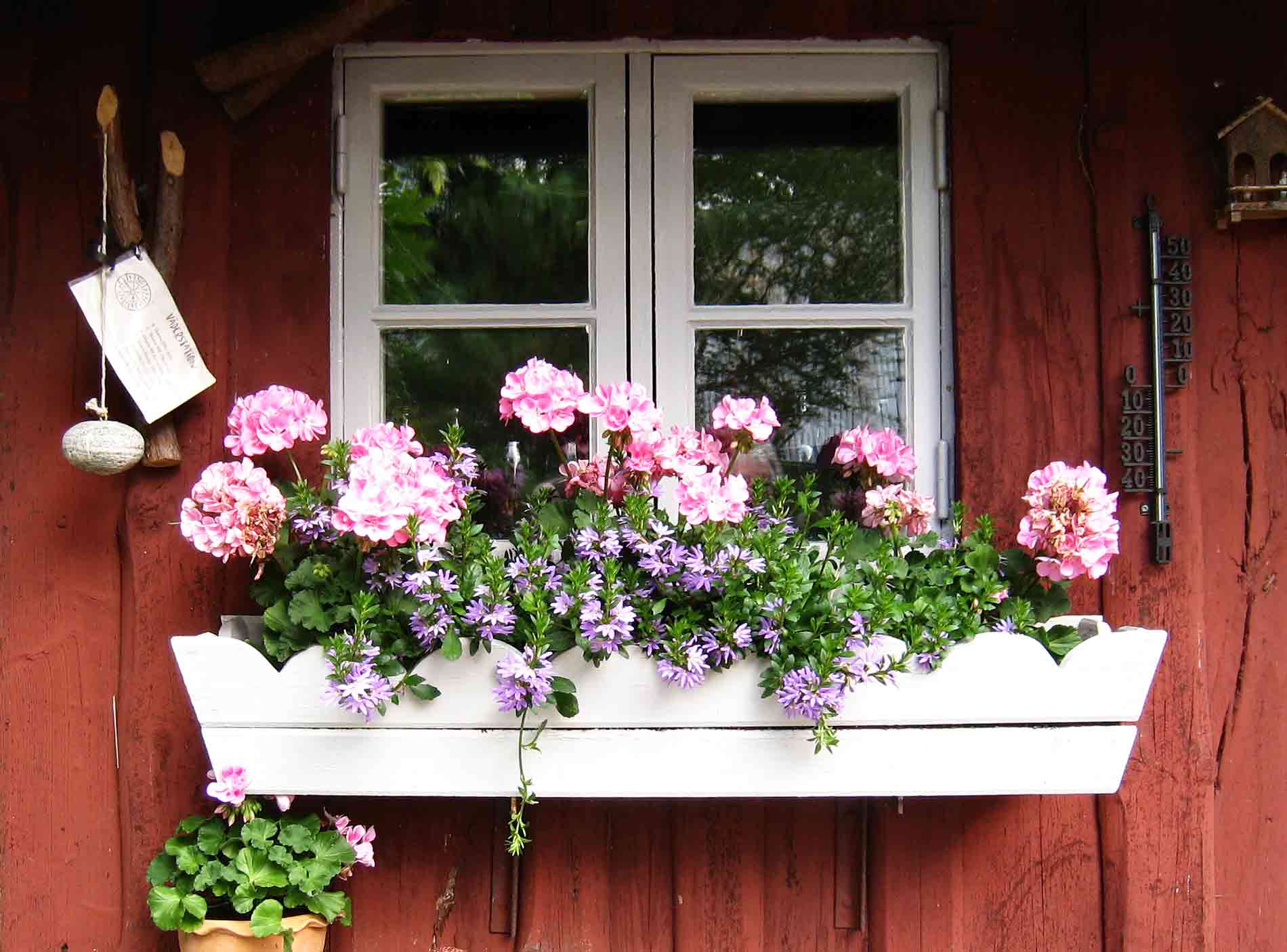 wooden window box with flowers